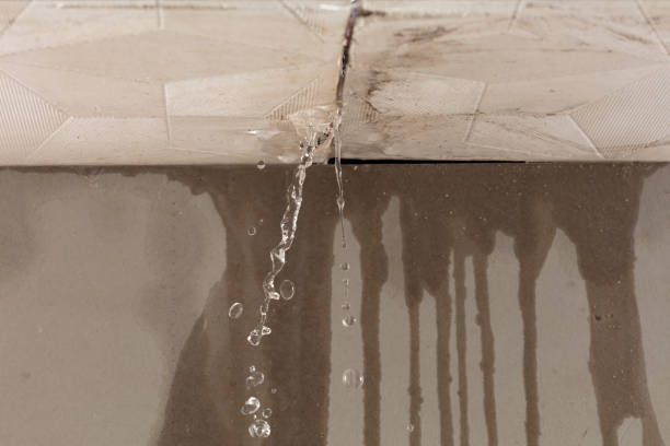 Professional Structural Drying technician working in Tilden, TX